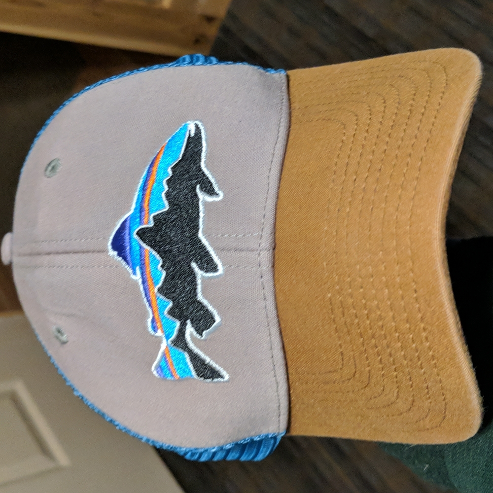 Patagonia trucker hat